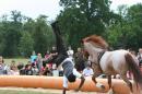 Esquisse Equestre 7 * 3504 x 2336 * (3.72MB)